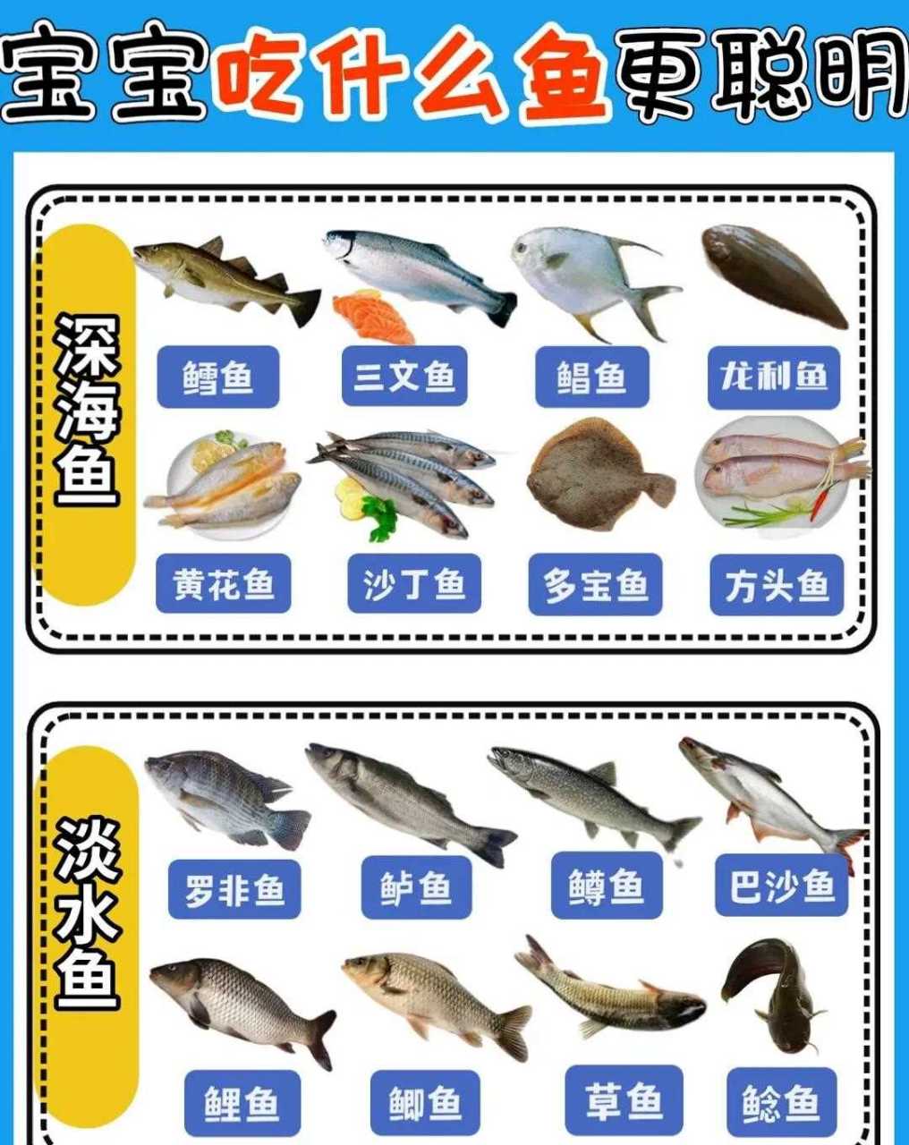 宝宝吃什么鱼更聪明,一起来看看哪一些鱼适合宝宝们[抓狂]