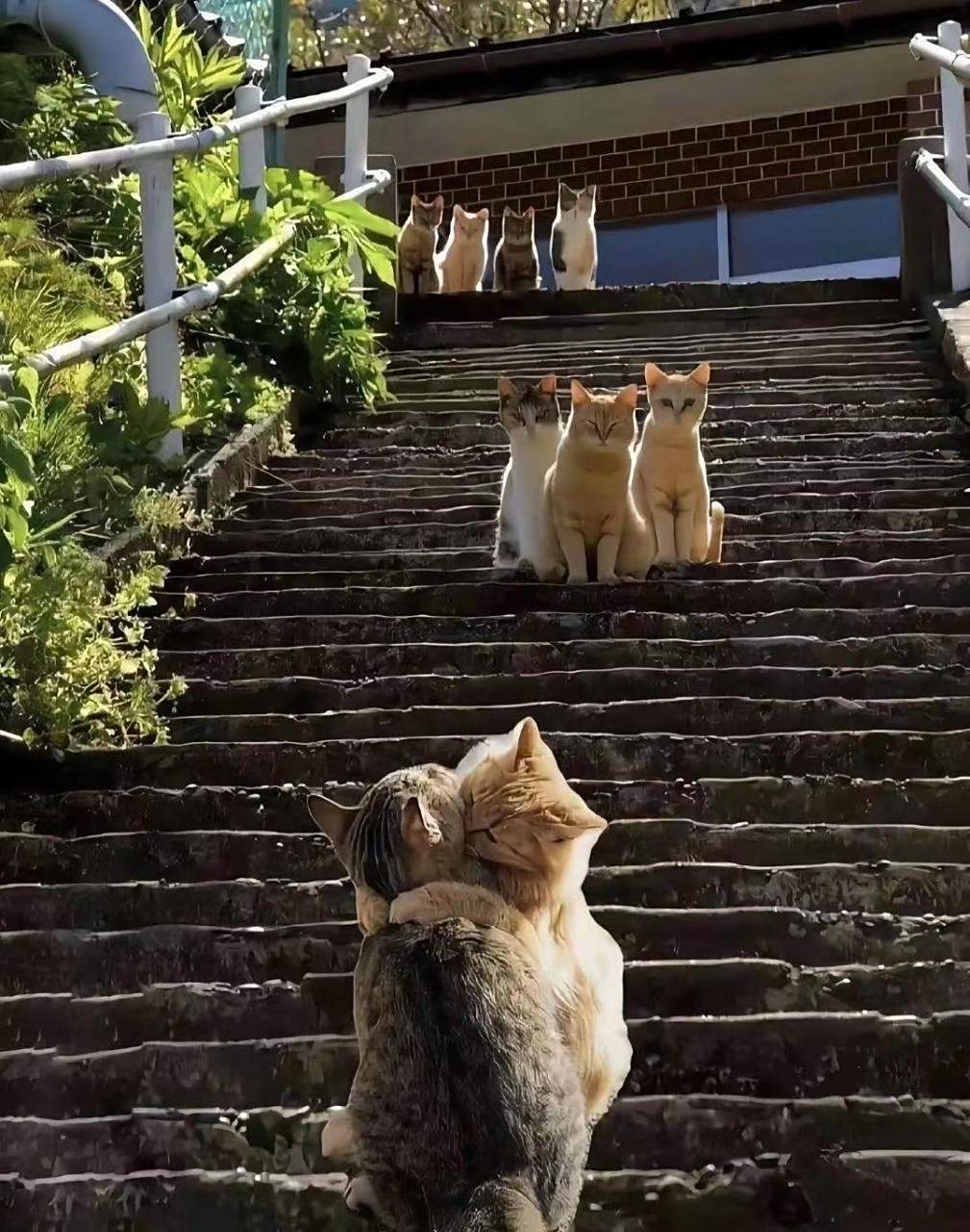 伙伴们投来了羡慕的眼神