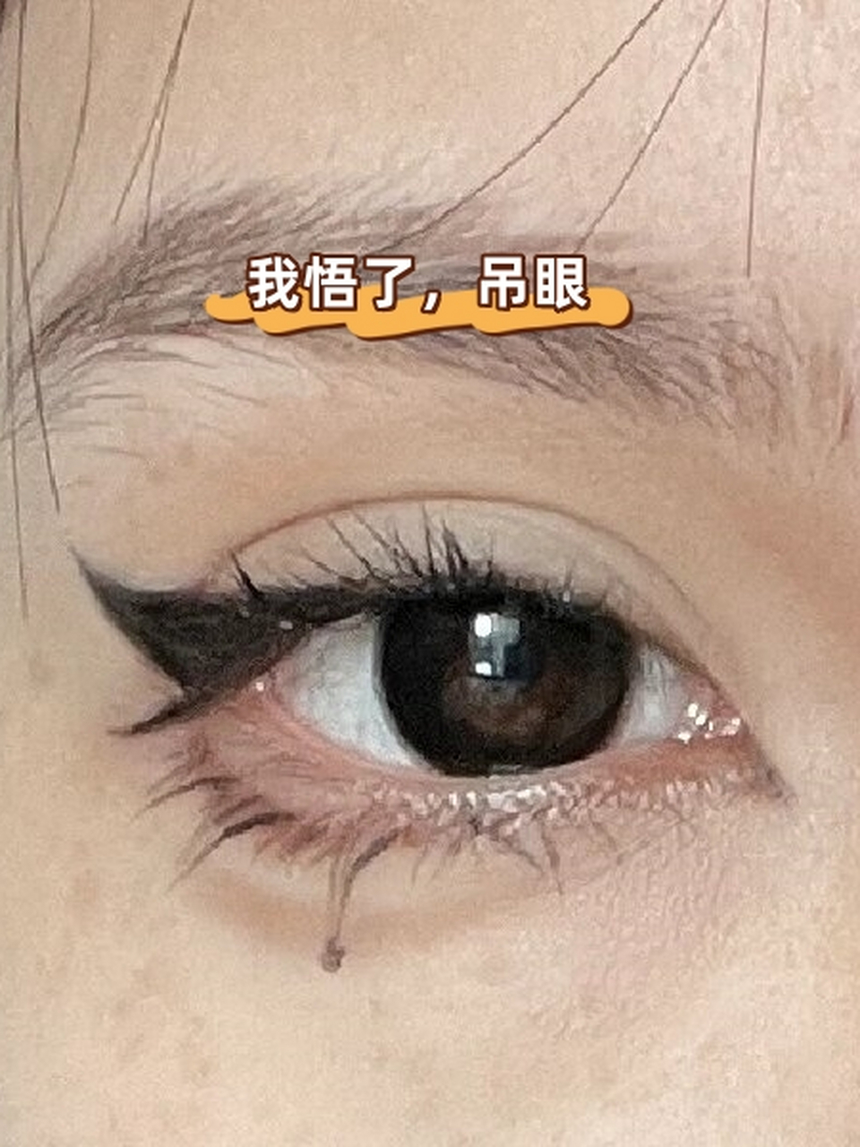 我悟了,吊眼  "我终于明白了吊眼的特点.