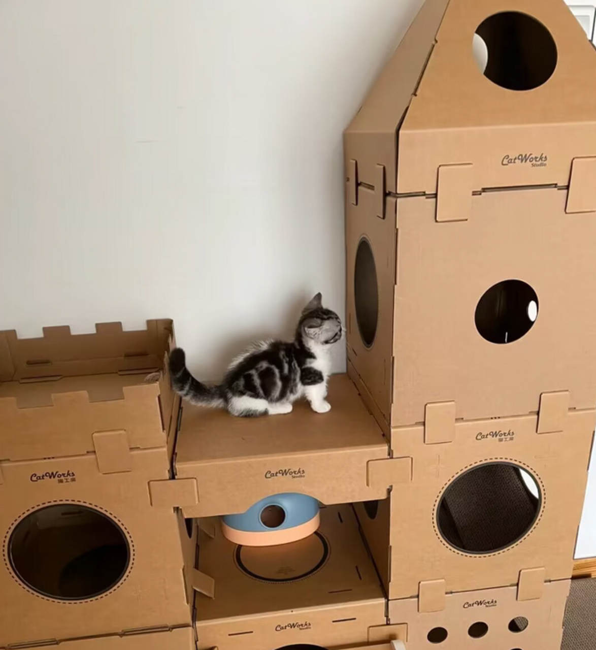 花了一个下午的时间,给家里的猫咪自制的猫别墅,总算是完工了.