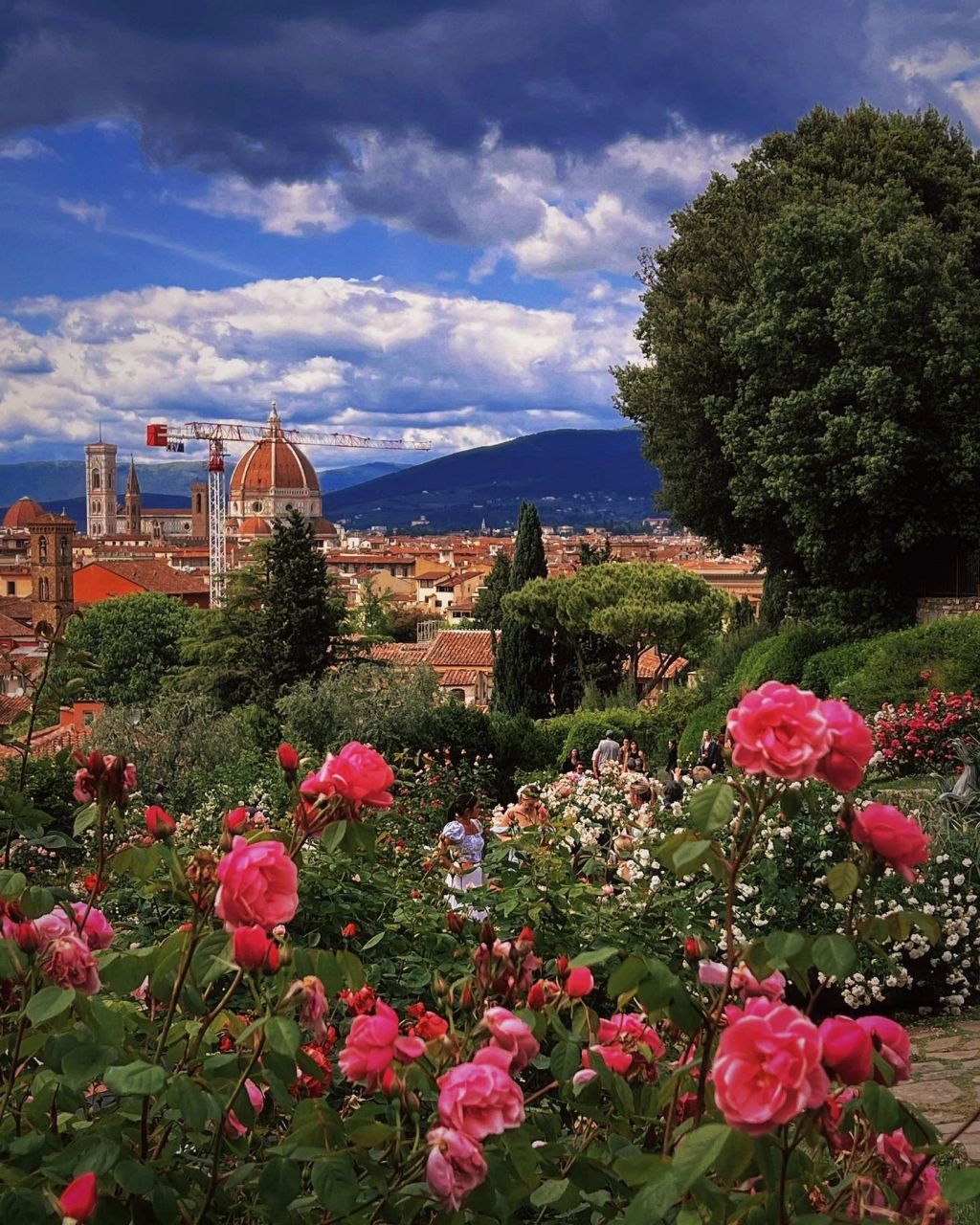 佛罗伦萨玫瑰花园|小镇 教堂博物馆看麻了就来看看佛罗伦萨的花园吧是