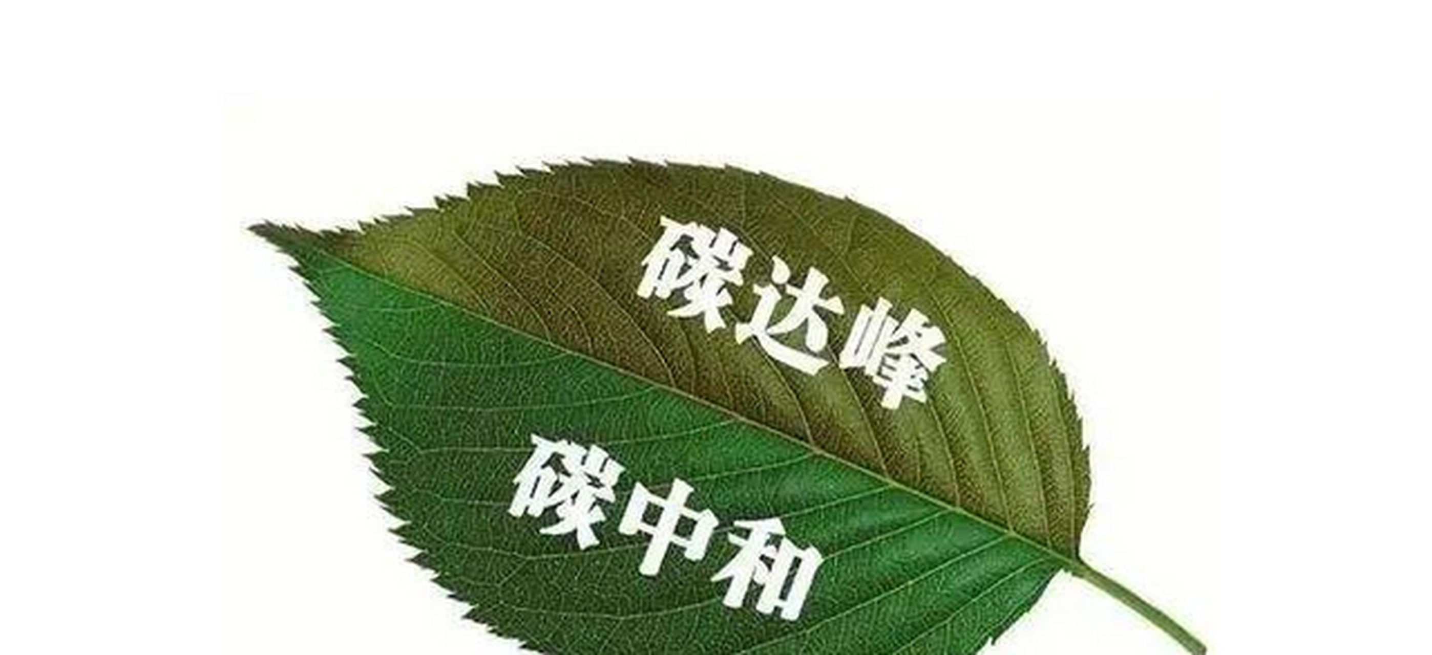 想要实现双碳目标,当然不是光说说而已.