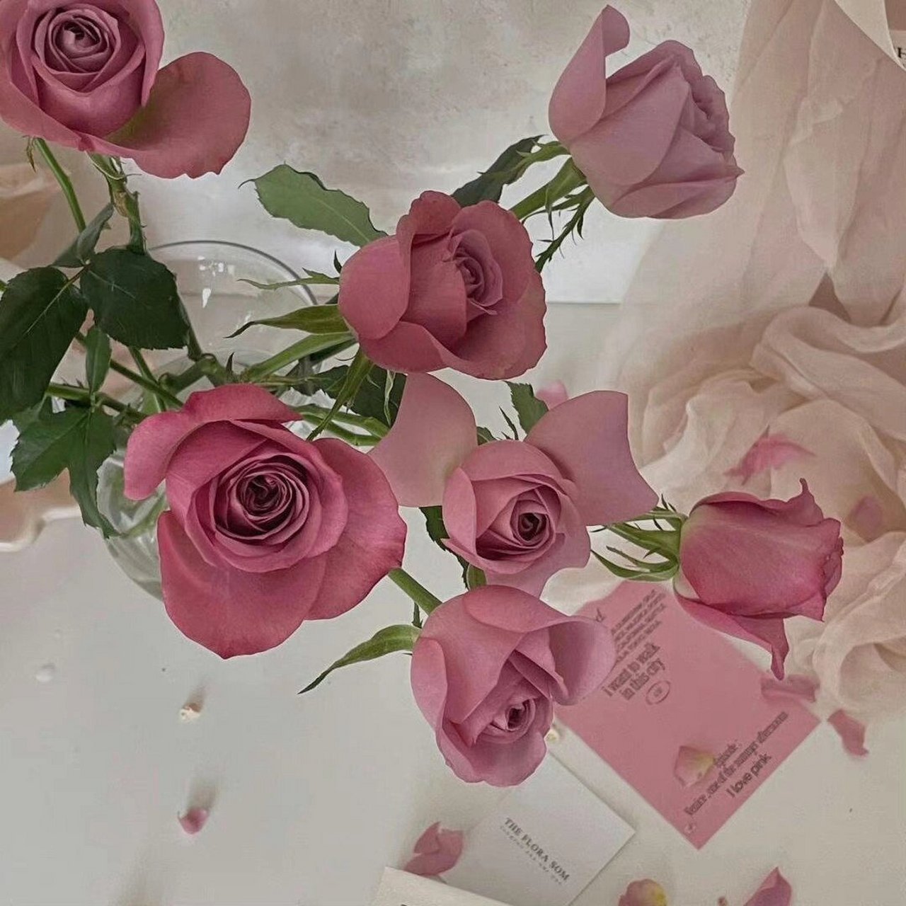 如果你有特别喜欢的类型,欢迎在评论区留言告诉我.