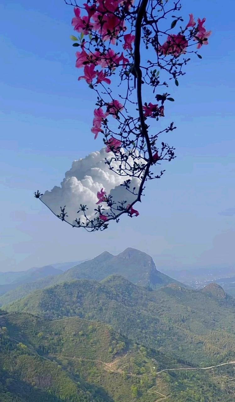 春之意为勺,浮云作银汤#趣图呵呵呵