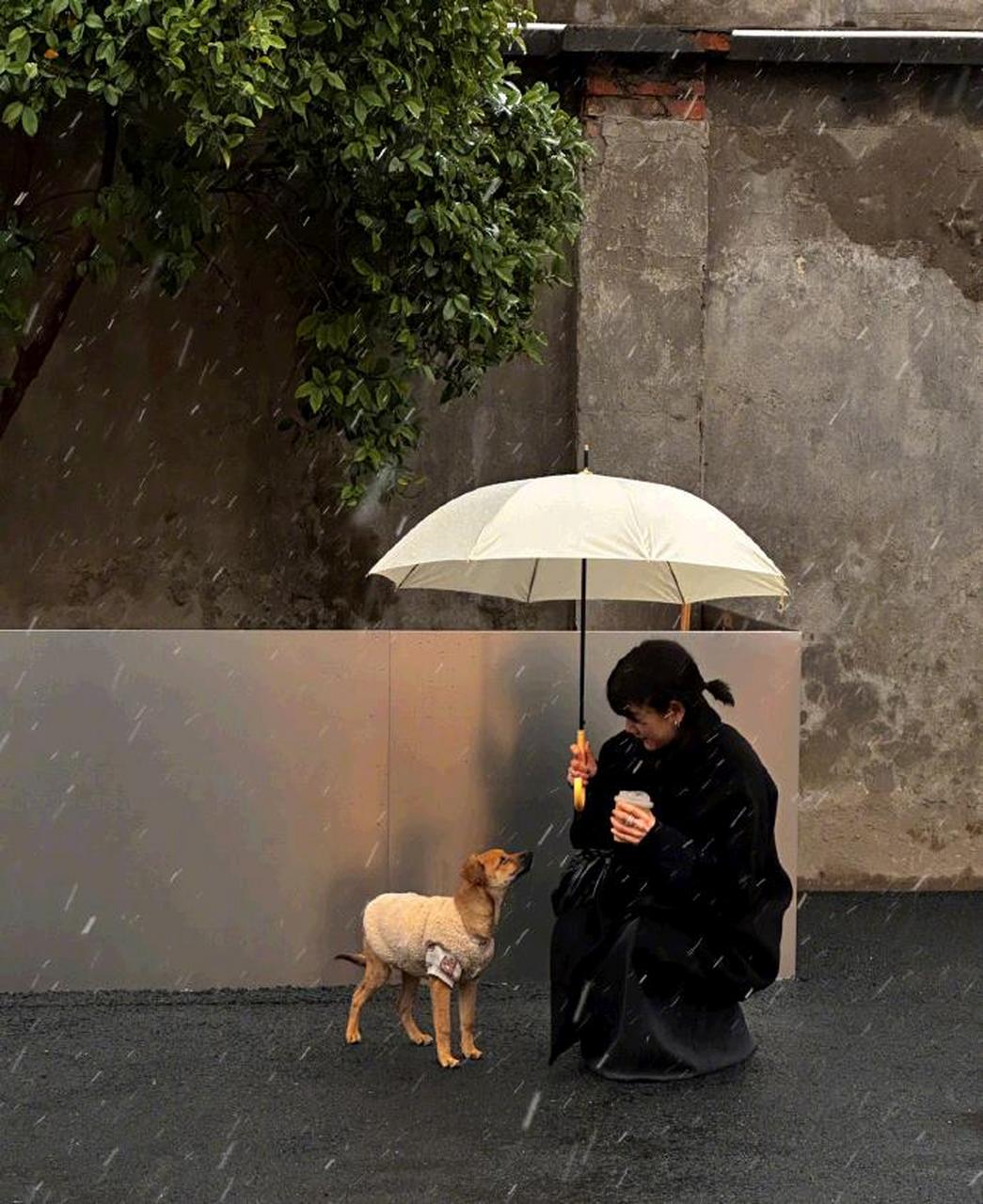 能在关键时刻为你撑伞的人,才是能共度一生的人[大笑]