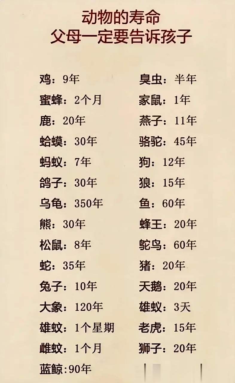 动物的寿命长短一览图,没有比这更专业更贴心的整理了!