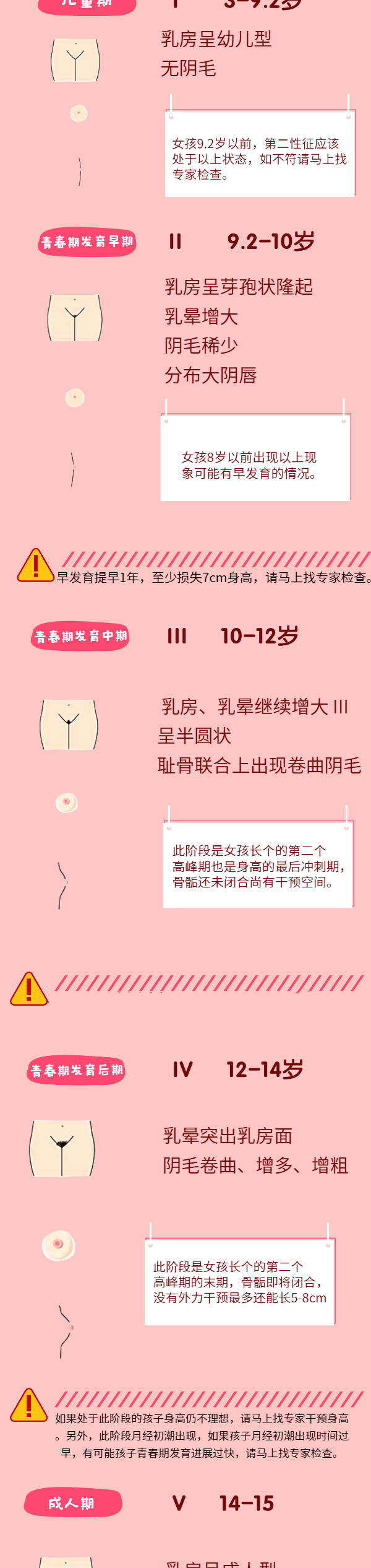 女孩第二性征发育时间图片