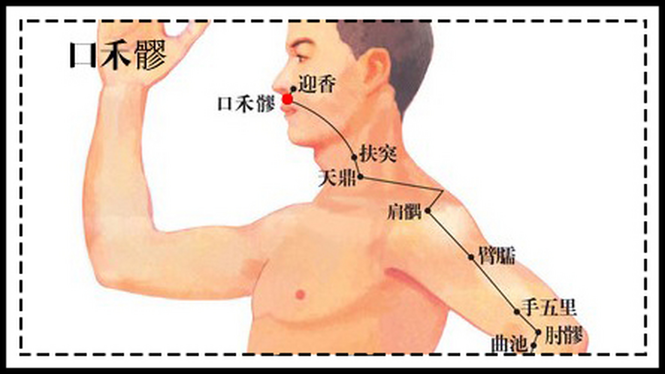 人体穴位# 口禾髎:禾,指粮食;髎同窌;意为孔穴.