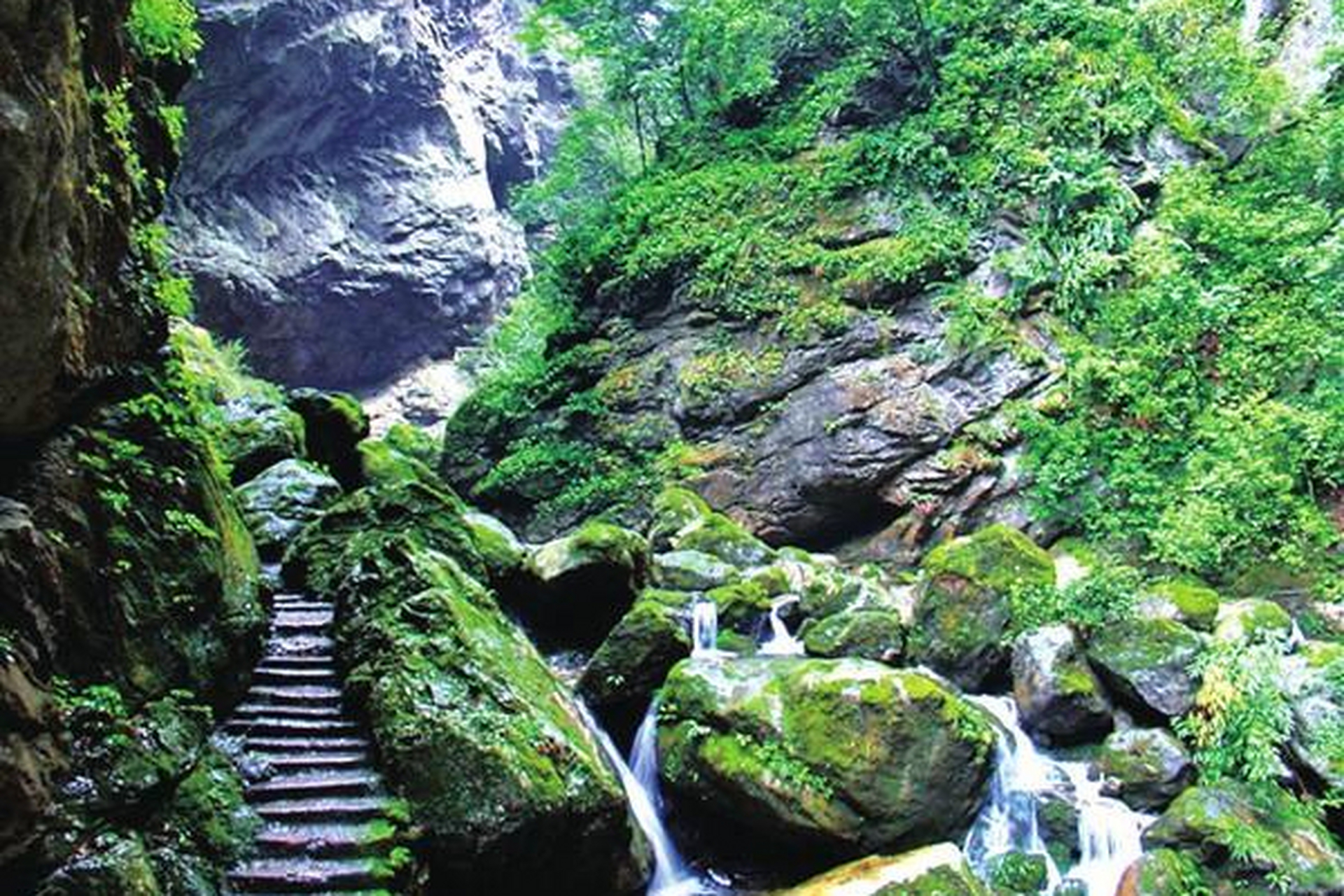 九龙沟风景区图片