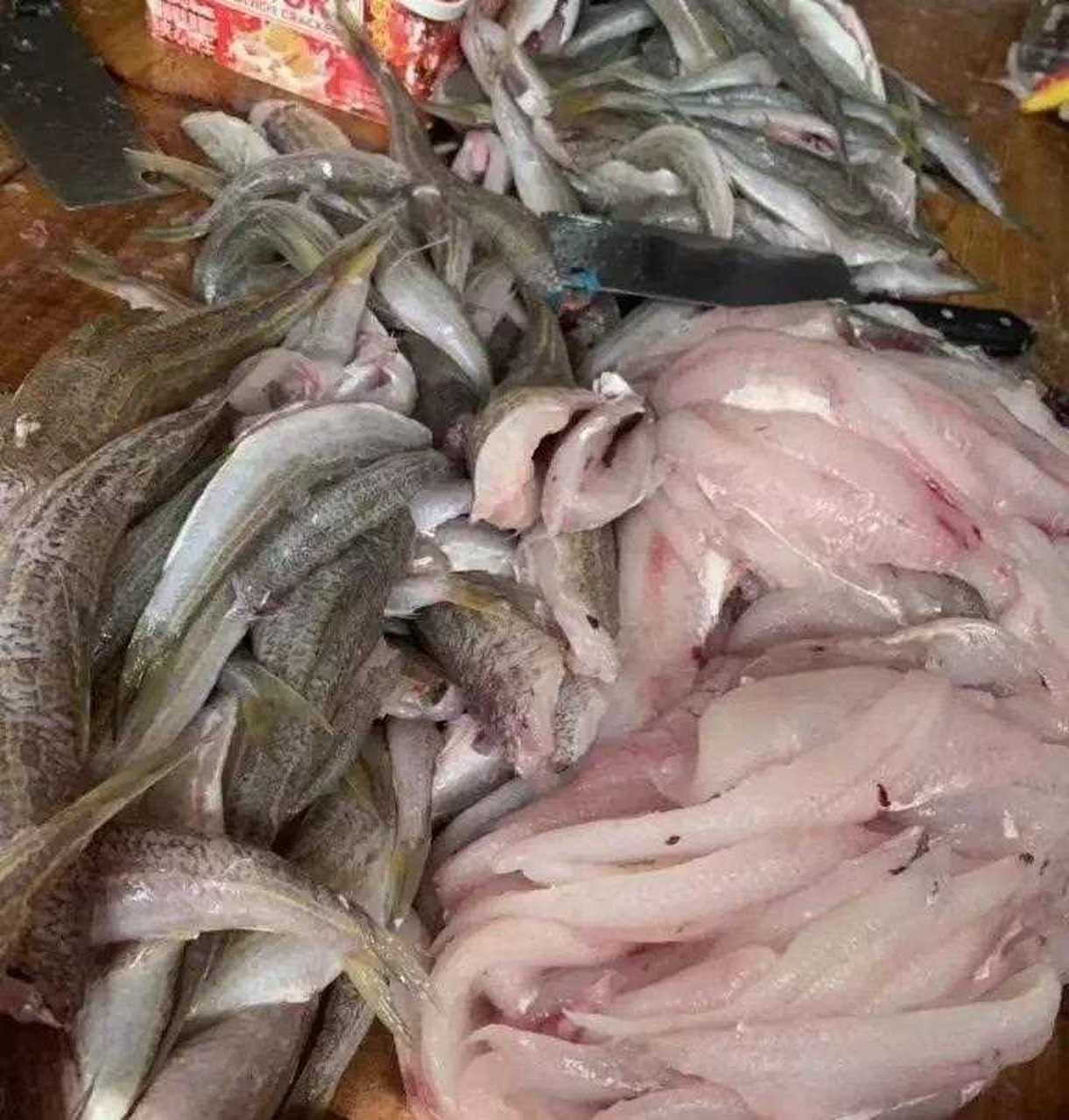 汕尾人餐桌常吃的一種魚:那哥魚,也叫那哥魚,別懷疑,普通話也這樣叫