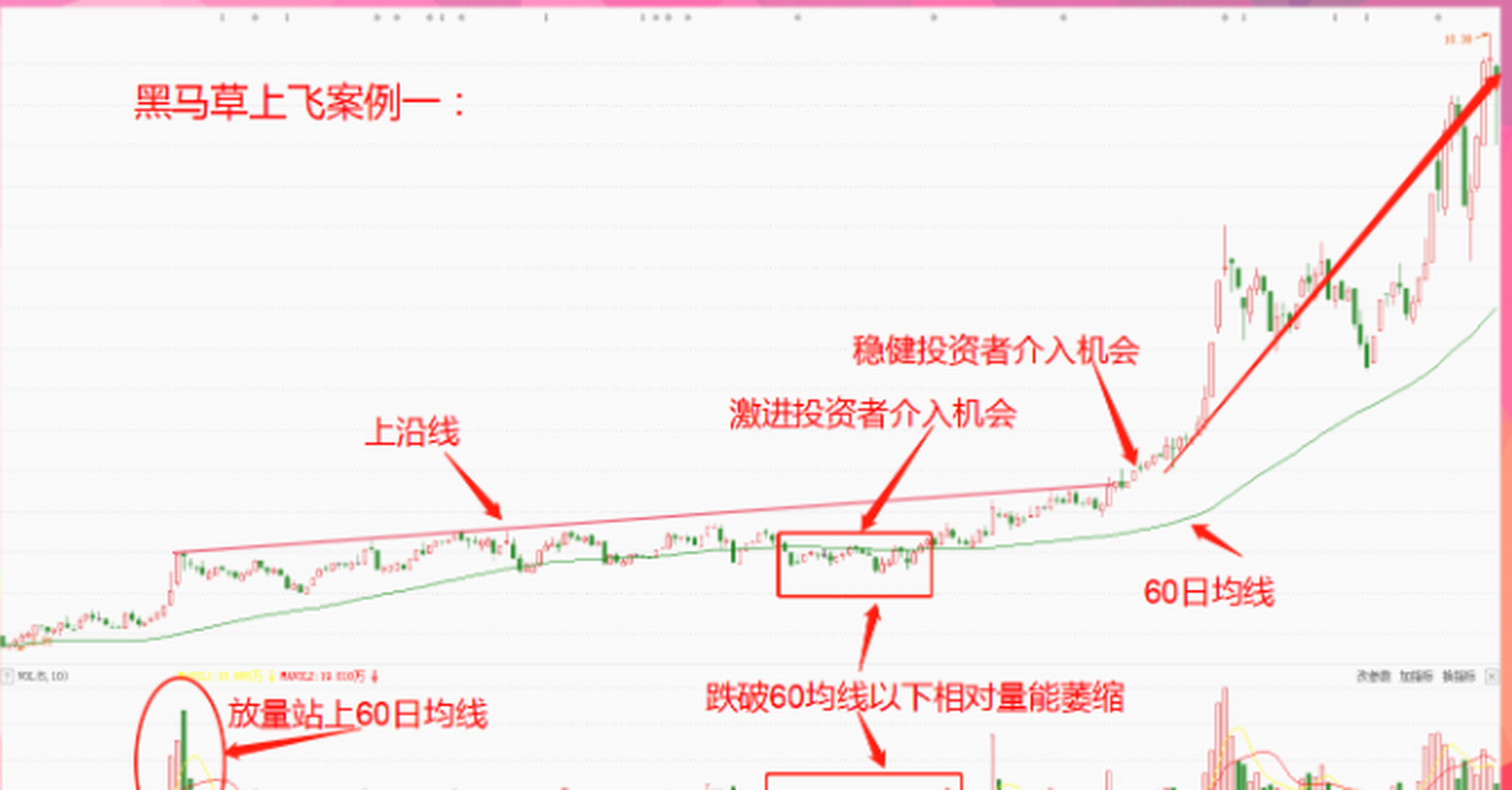 一旦发现黑马草上飞形态,不要犹豫,骑上黑马,尽情地奔跑!