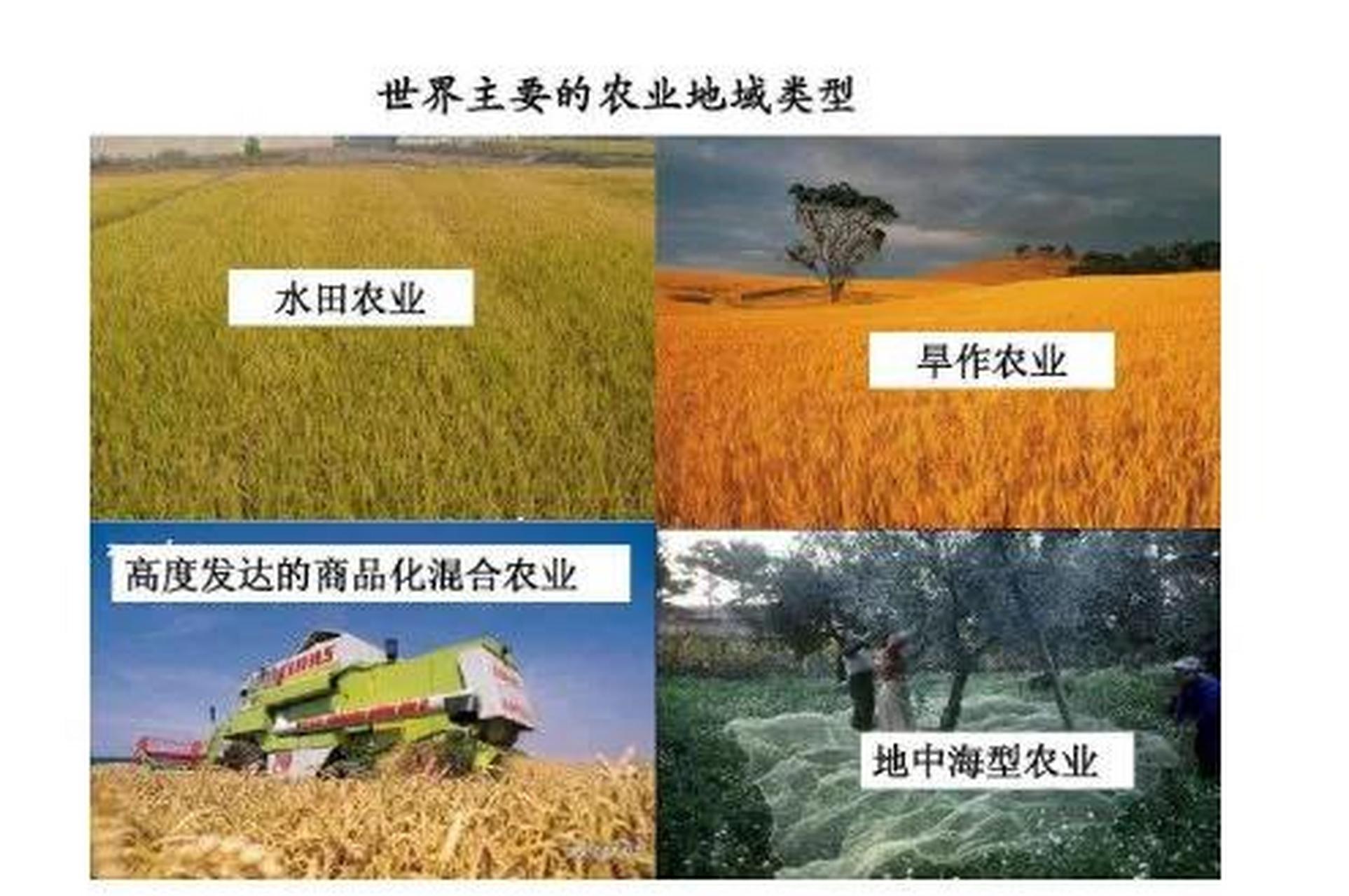 地中海式农业分布于南欧,西亚,北非地中海沿岸及其它地中海气候区,以