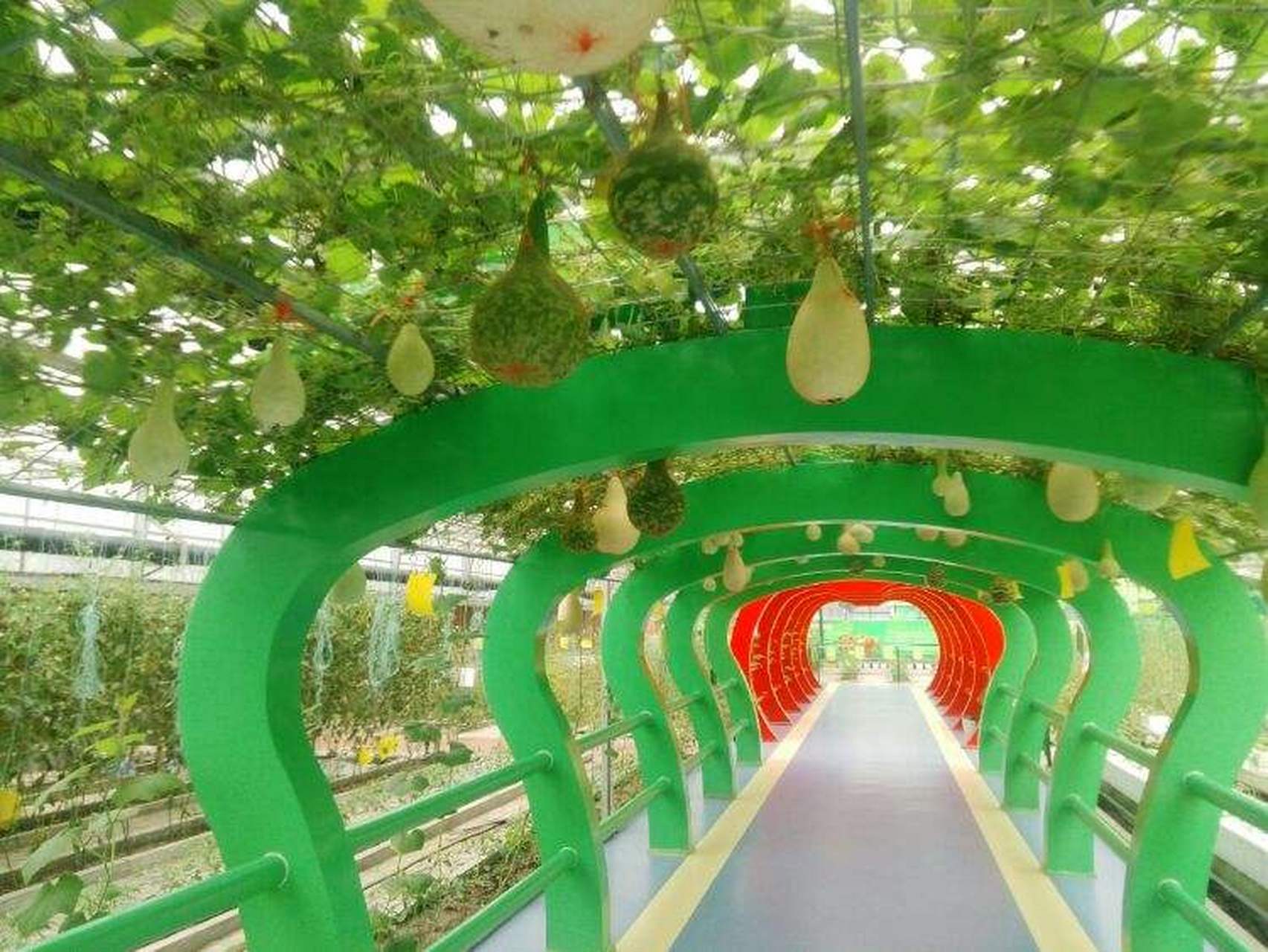 星耀泉城遇见济南#雪野现代农业科技示范园,又称雪野农博园,位于山东