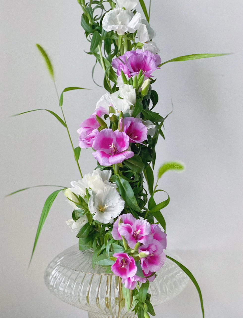 狗尾巴草与古代稀的陪伴时光 在日常生活中,插花是一种简单而美好的