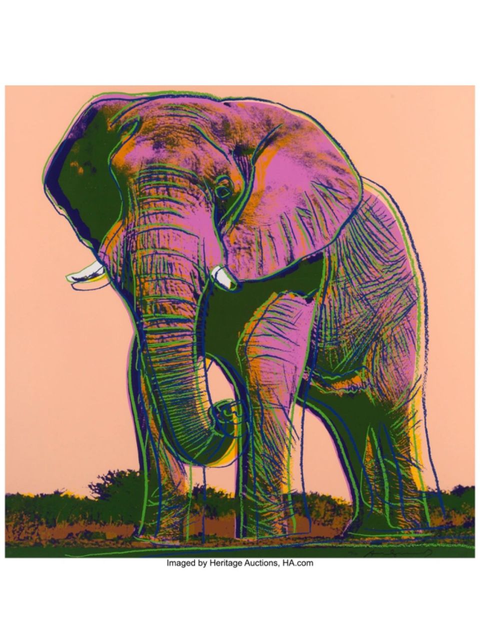 安迪沃霍尔 濒危动物=拍场硬通货 安迪沃霍尔的丝网版画,主题是濒危