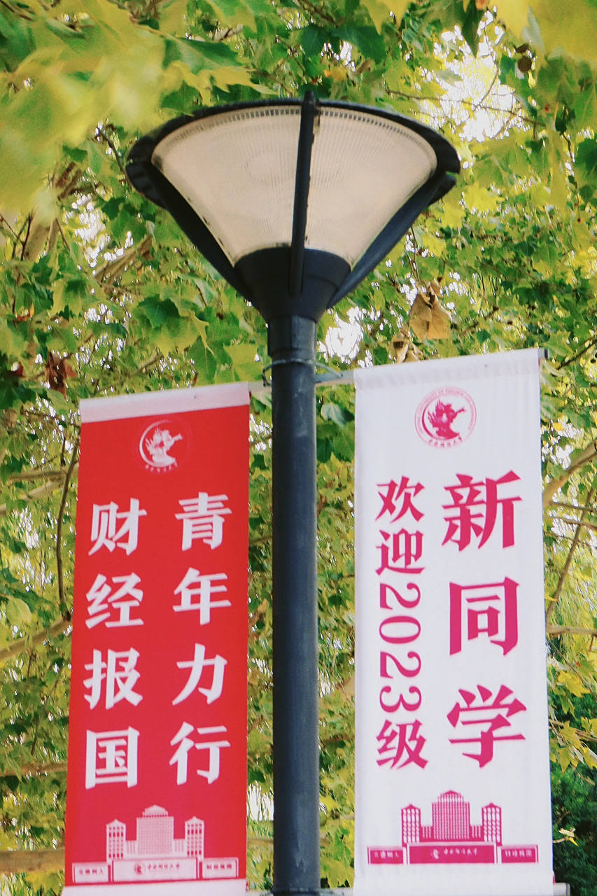 中央财经大学在哪个地方(中央财经大学的位置具体是哪里)