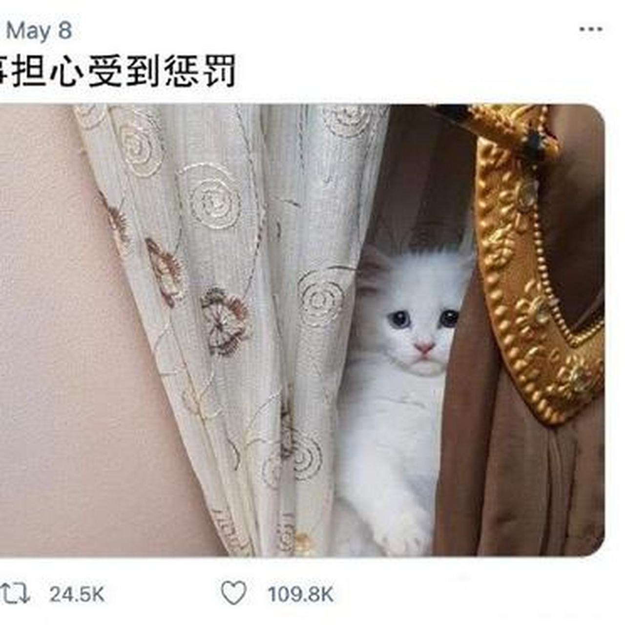 我这么可爱,能有什么坏心眼呢.