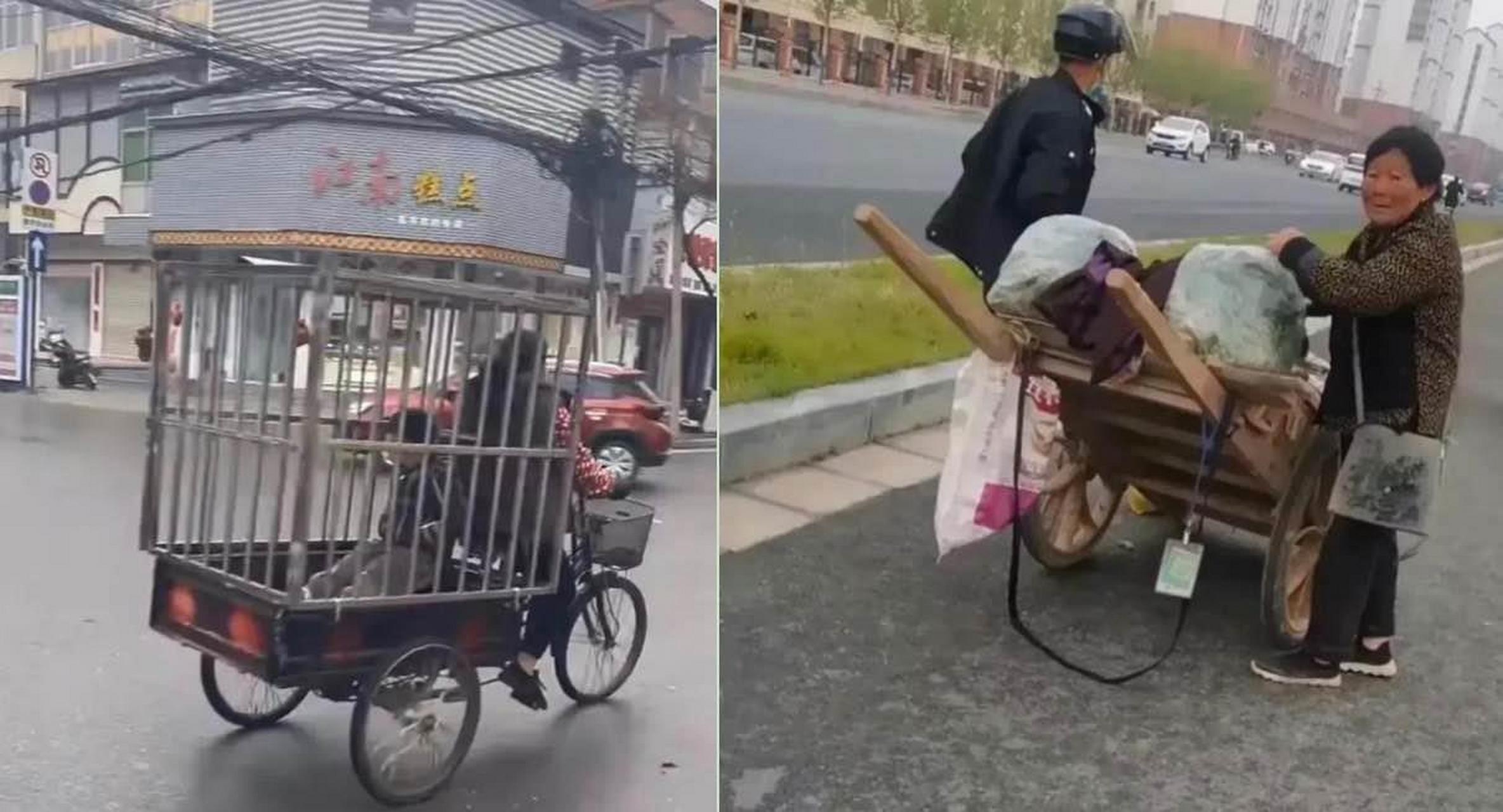 有人笑称这几天板车的销量是最好的,商丘一下