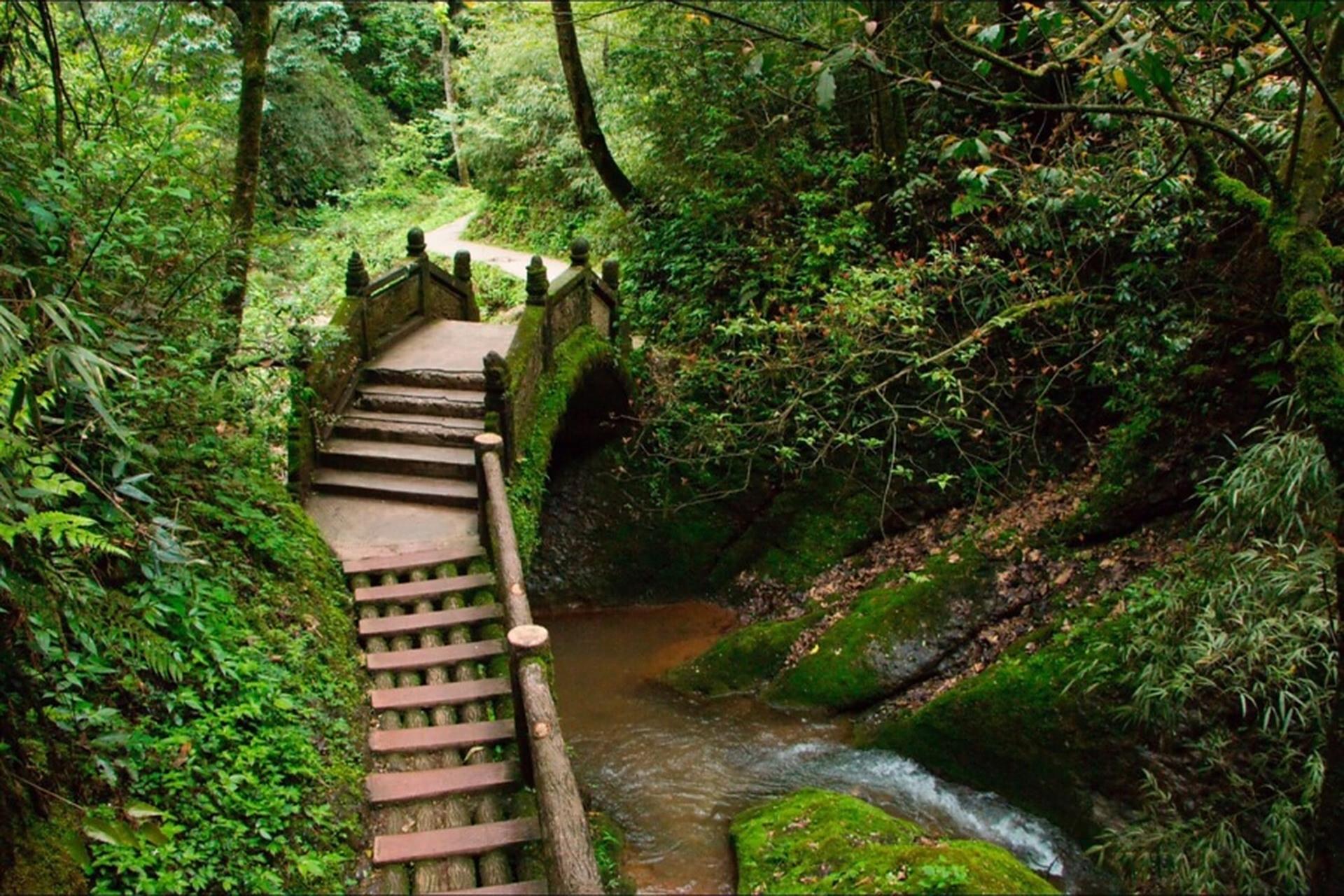 青城山后山旅游攻略一日游(青城山后山旅游攻略一日游图片)