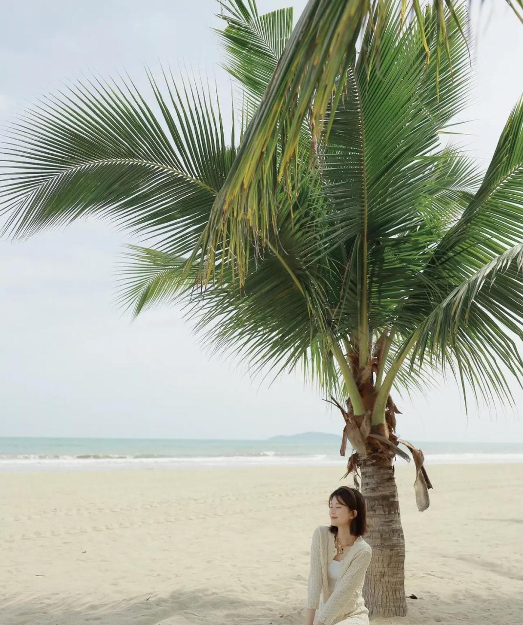 乔欣 海边治愈大片,清雅淡然,温柔小仙女