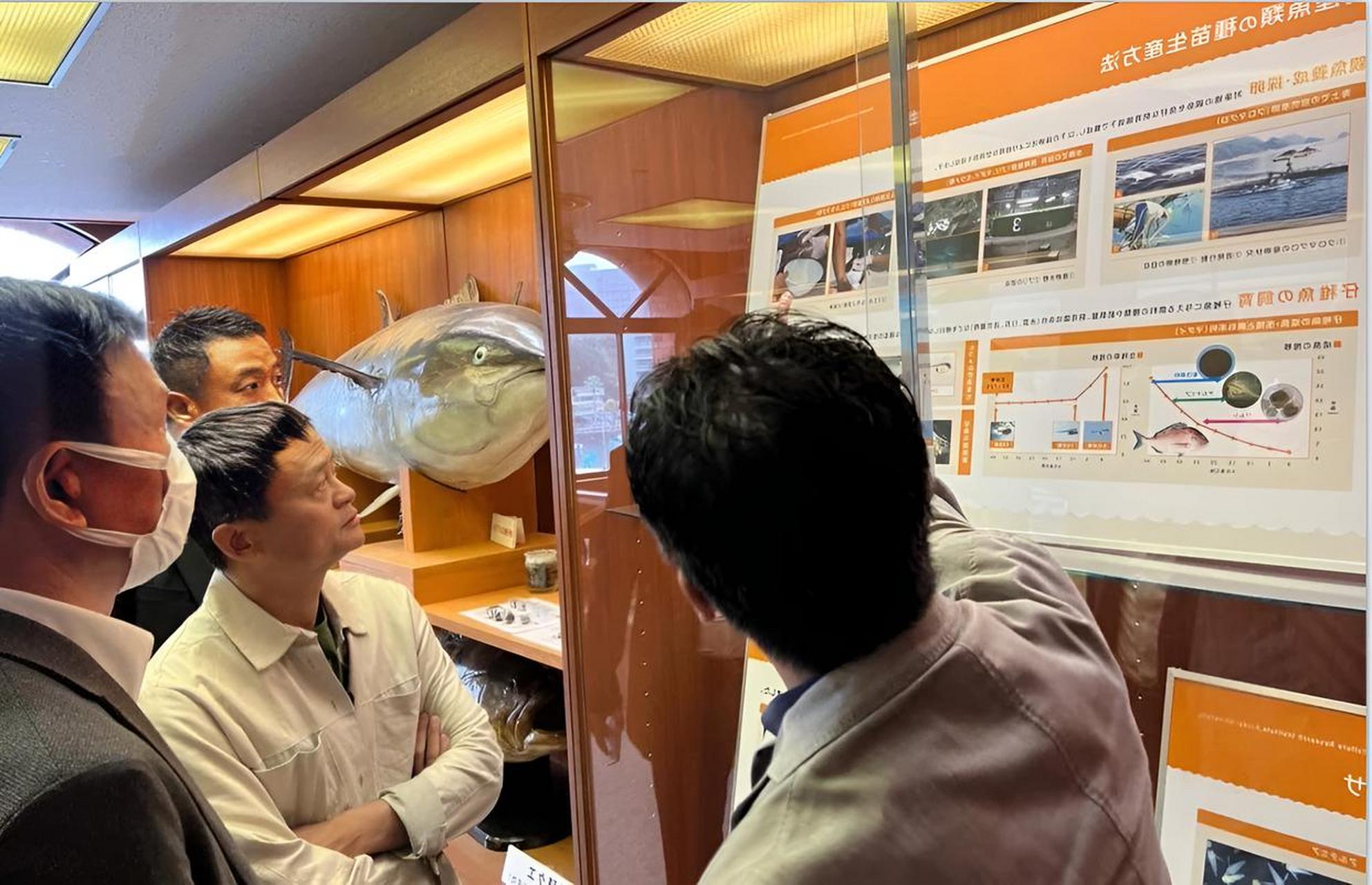 马云近照:在日本近畿大学水产研究所考察水产养殖渔业技术!