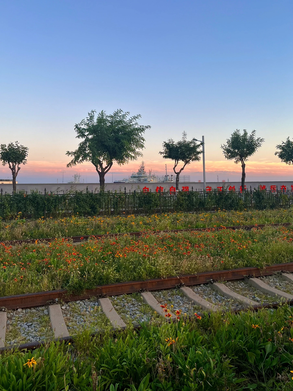 秦皇岛西港花园!晚上拍照更好看诶!