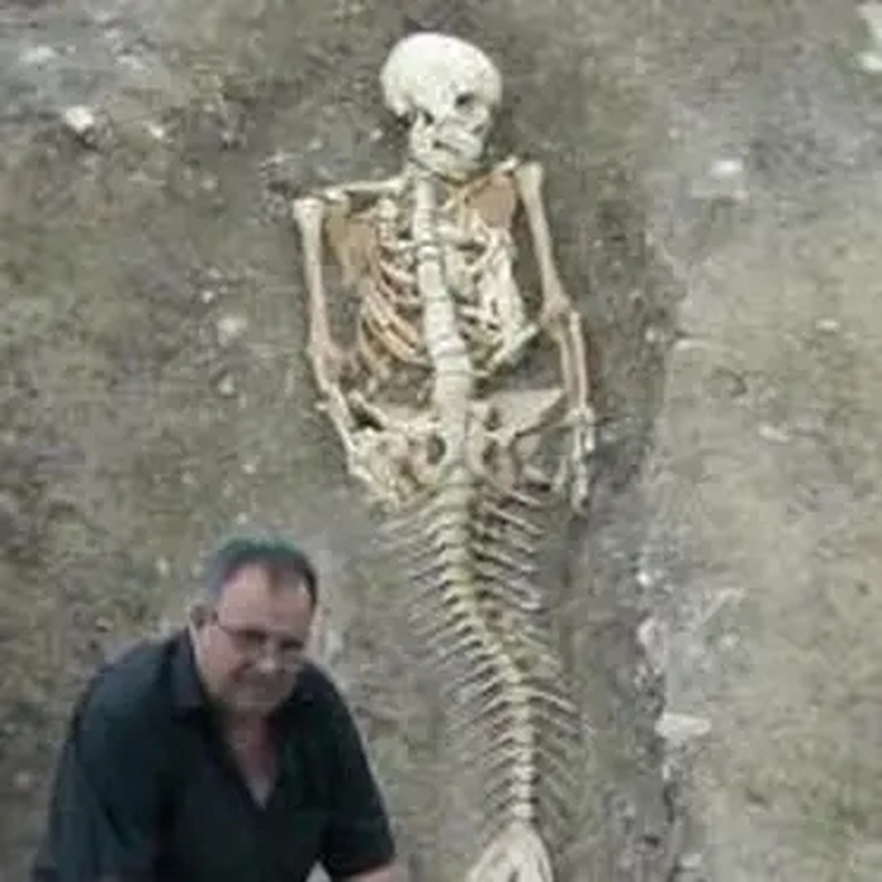 冰岛的工作人员,发现了美人鱼化石