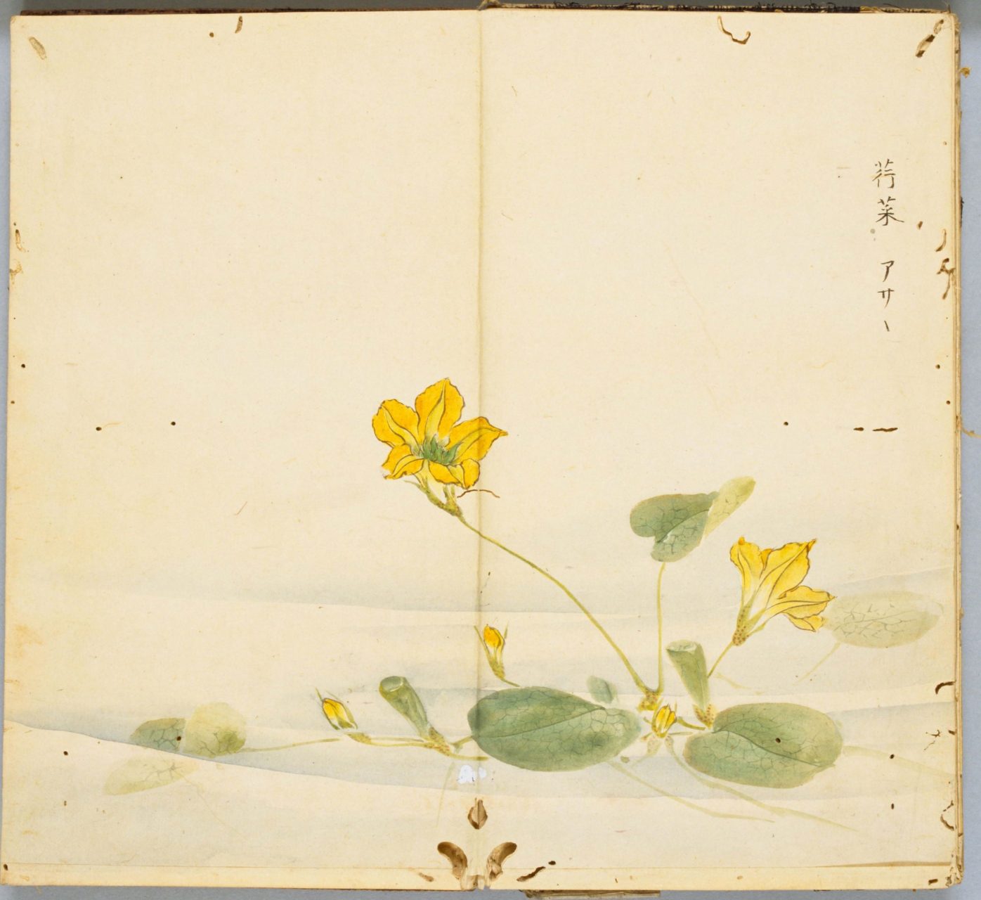 《诗经名物图解》赏析.