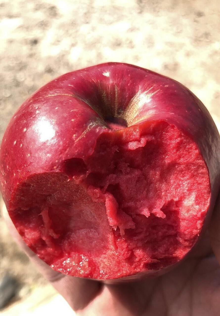 白雪公主的红苹果