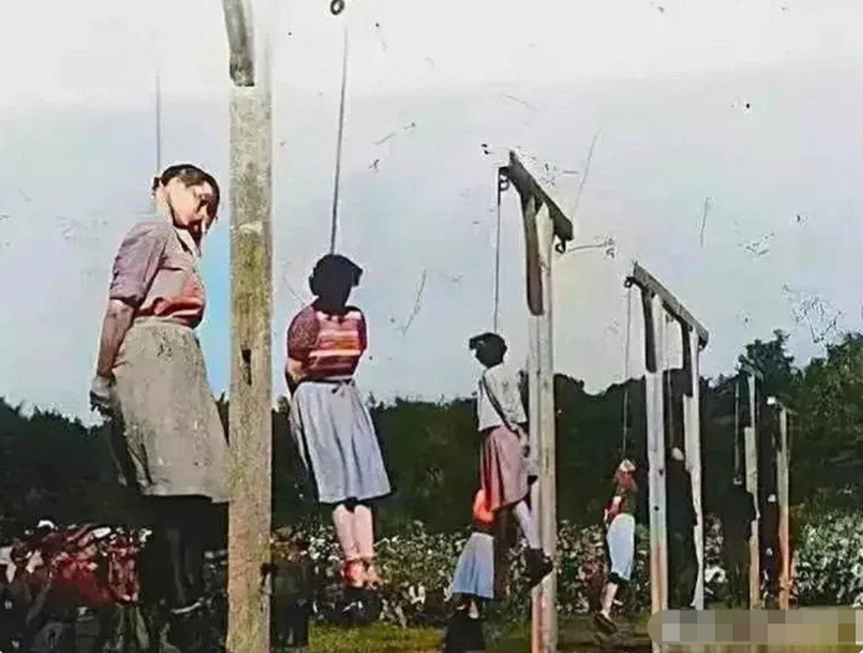 奥斯维辛集中营绞刑图片