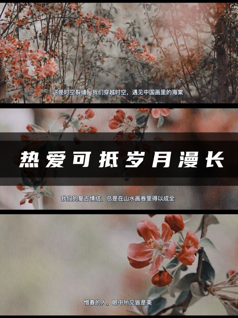 热爱可抵岁月漫长  时光不语,岁月无声 春与夏在人们的热情中悄然远去