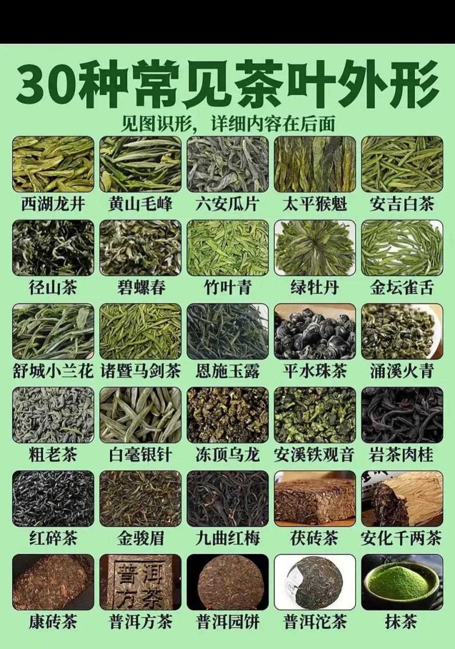 30种常见茶叶的外形,你喝过多少种?