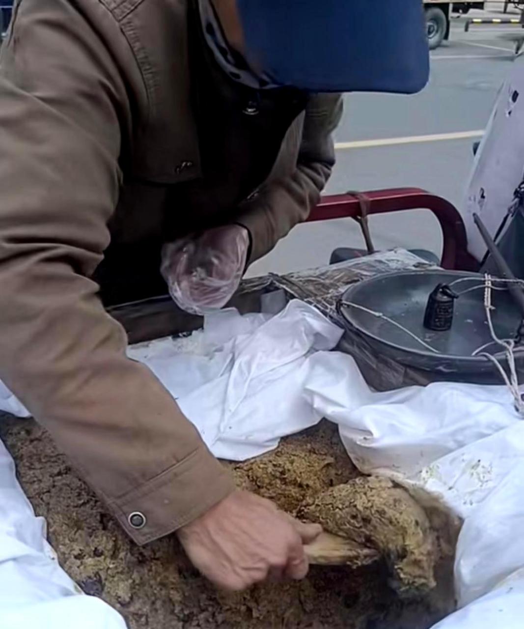 "boldly guess what this delicacy is, reorganize the language and