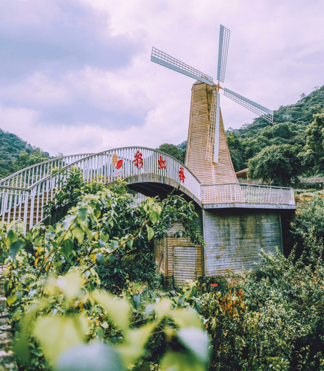 广州周边二龙山生态园 原以为错过了,就无花可看了,来到广州二龙山