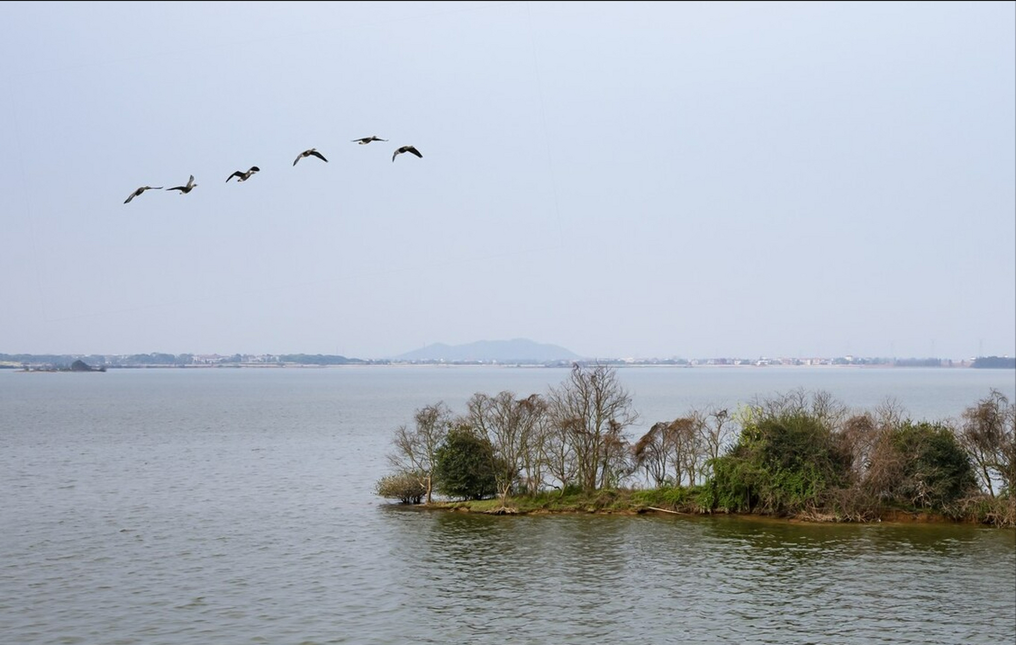 军山湖风景图片