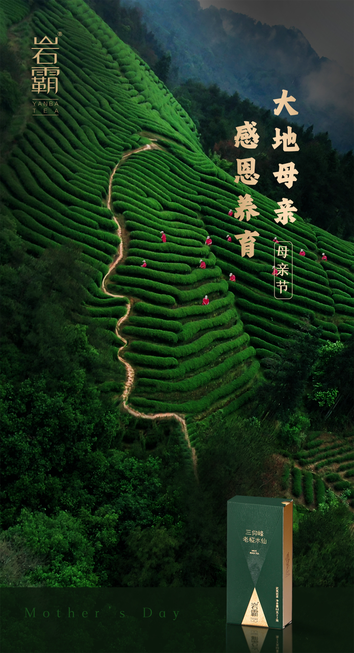 大地母亲,感恩养育#岩霸#武夷山# #武夷岩茶