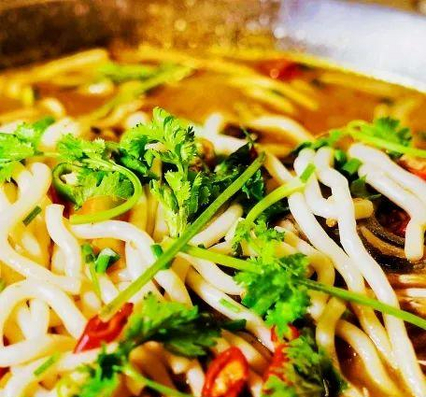 老胡吃饱饱,粉丝15.