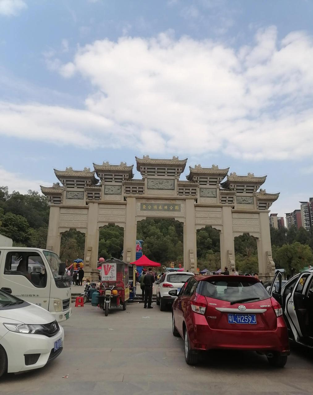 我爬过的山#今天是清明节,过来攀登亚公顶森林公园,这里属于广东省