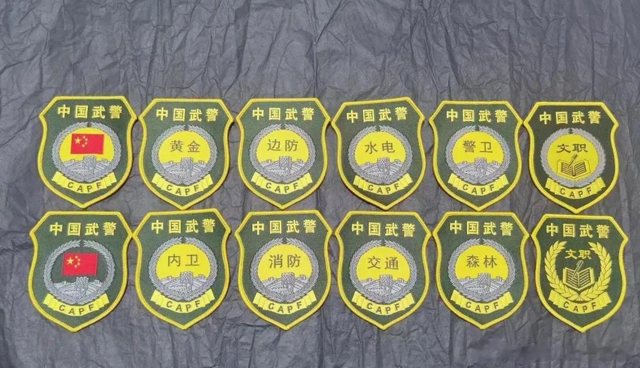 众所周知武警部队有八大警种,他们分别是:公安边防,公安消防,公安