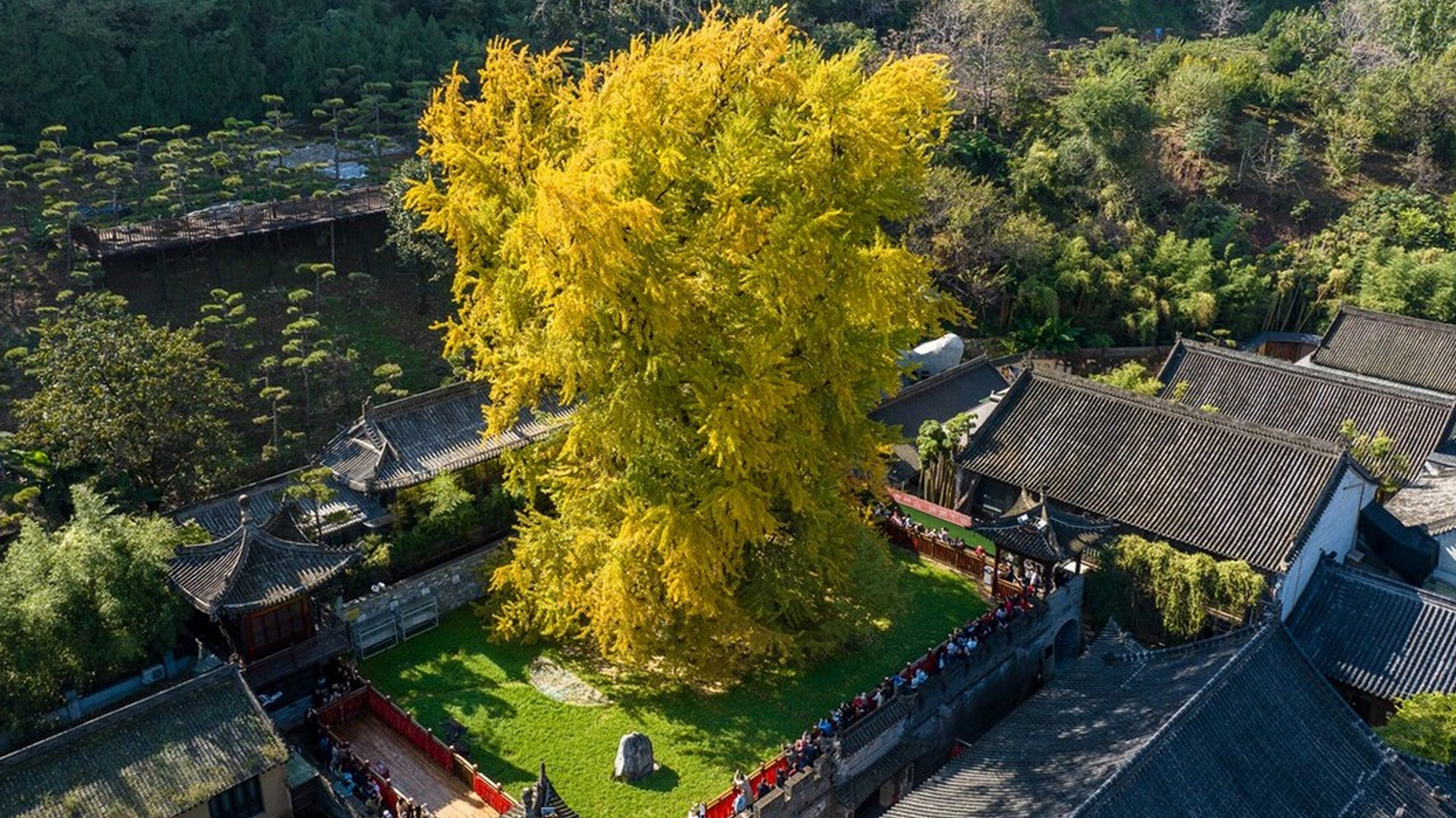 西安古观音禅寺图片图片