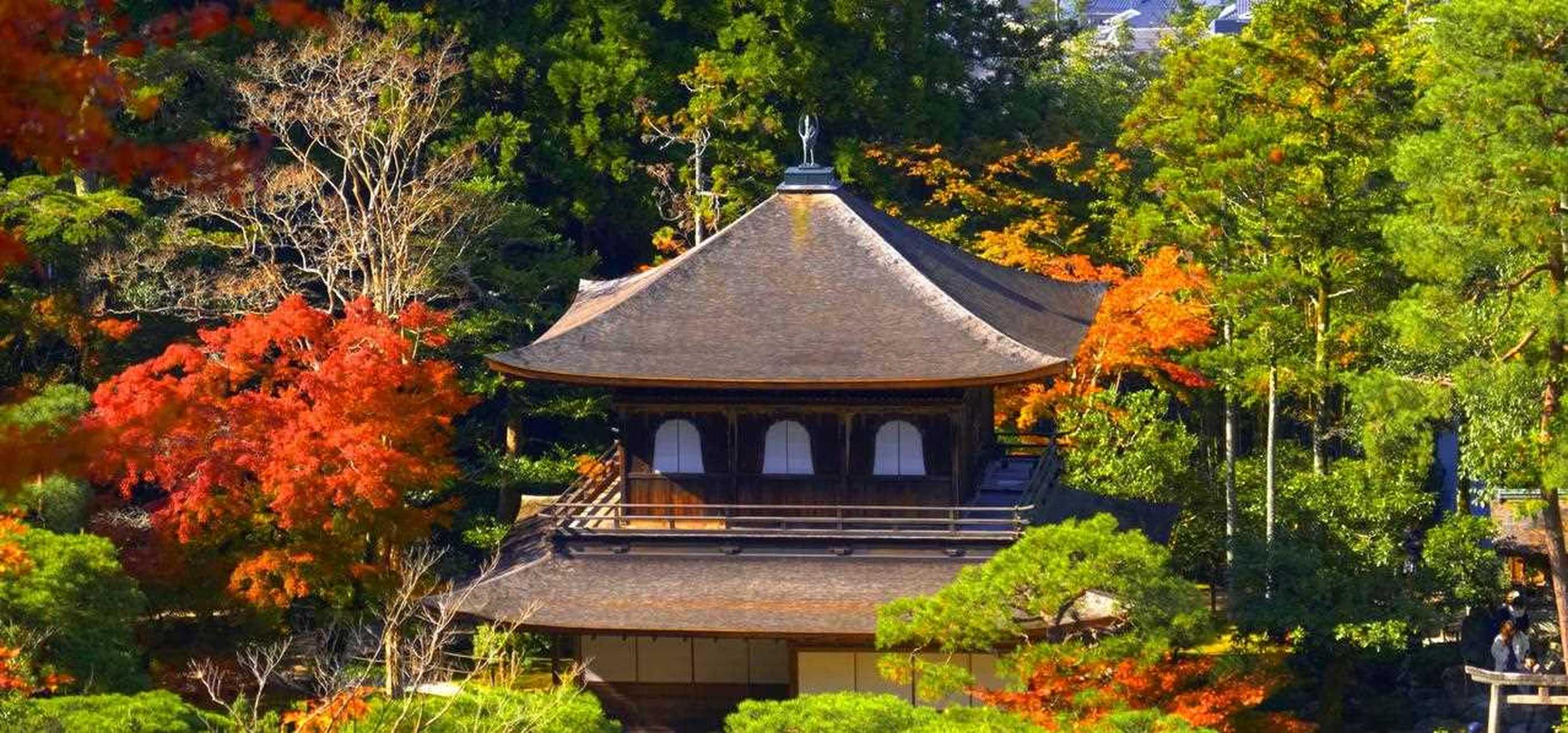 优美的枯山水庭院银阁寺!