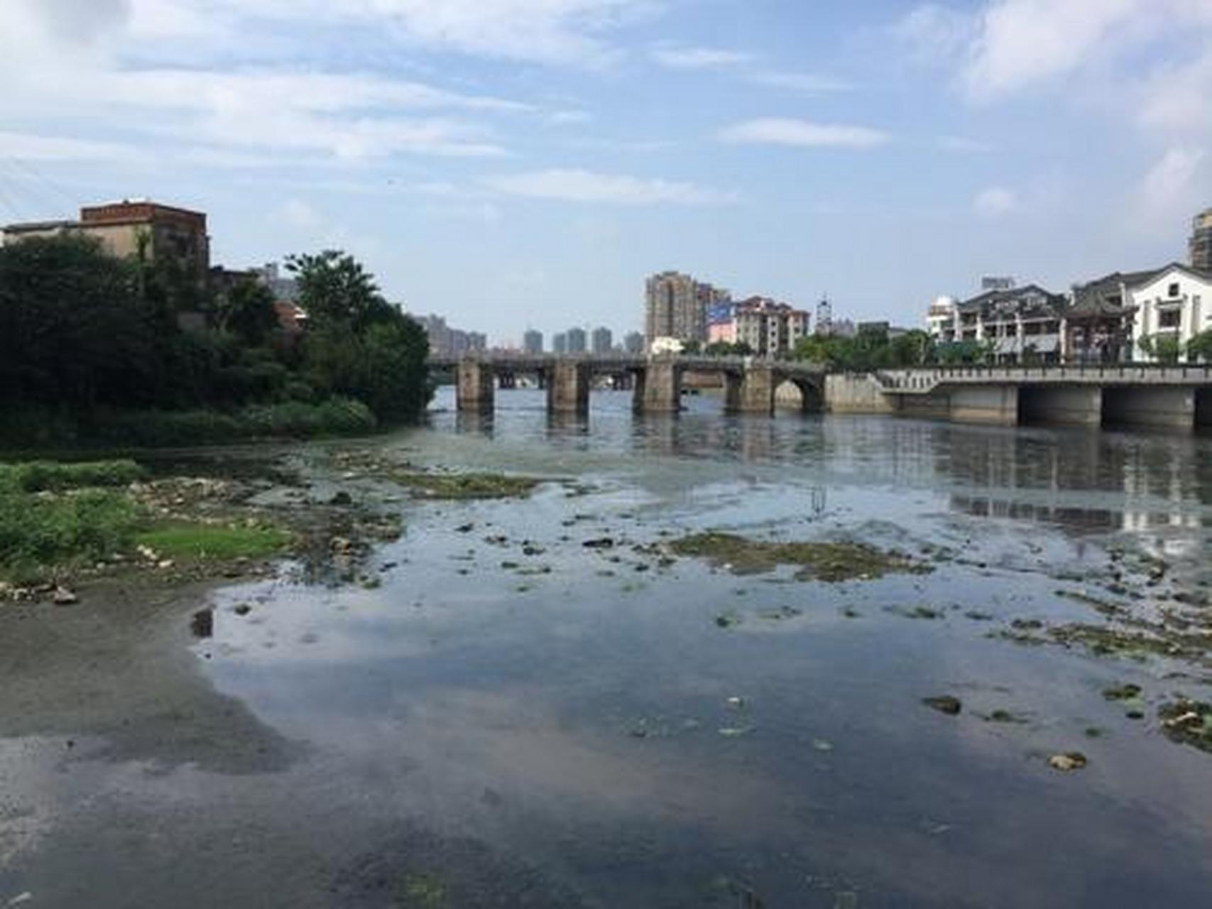 城市情报员#紫来桥:原名桐溪桥,曾名子来桥,良弼桥,位于安徽省桐城市