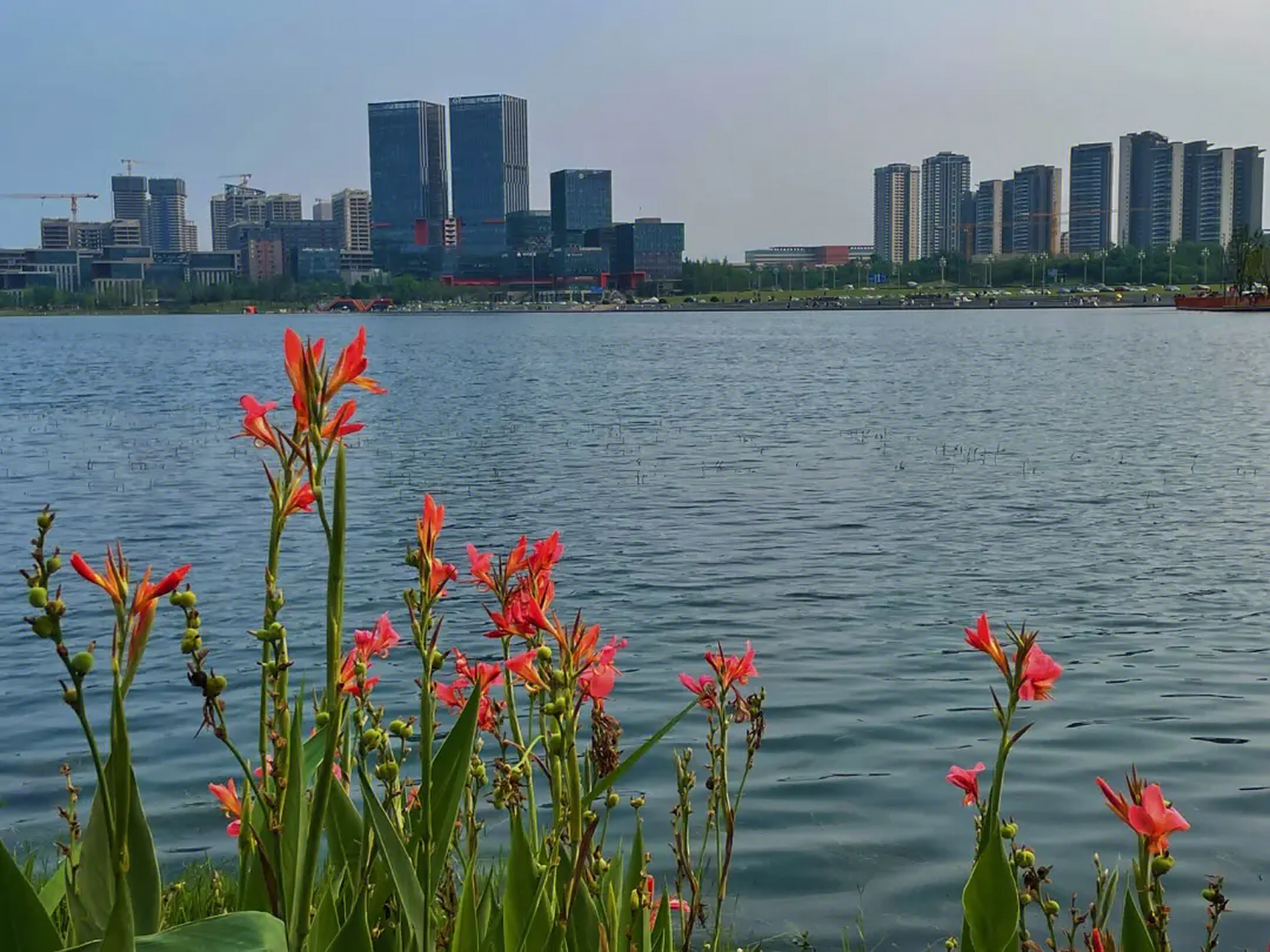 成都兴隆湖湿地公园:整个公园总占地面积30万平方米,其中水面11.