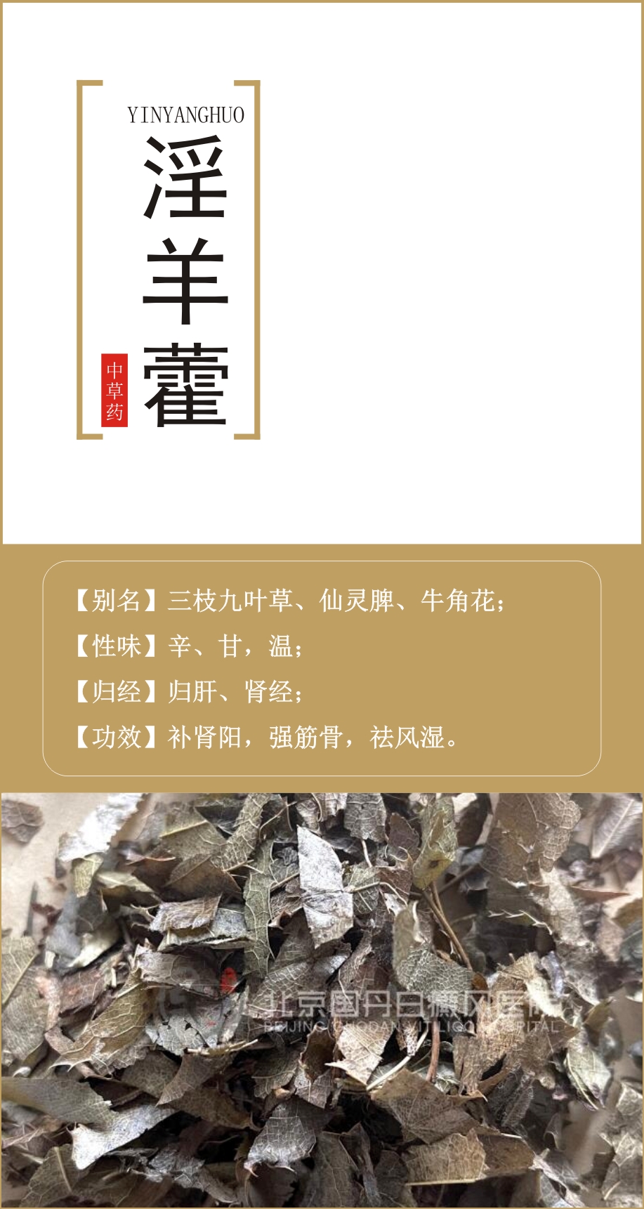 淫羊藿 【别名】三枝九叶草,仙灵脾,牛角花; 【性味】辛,甘,温