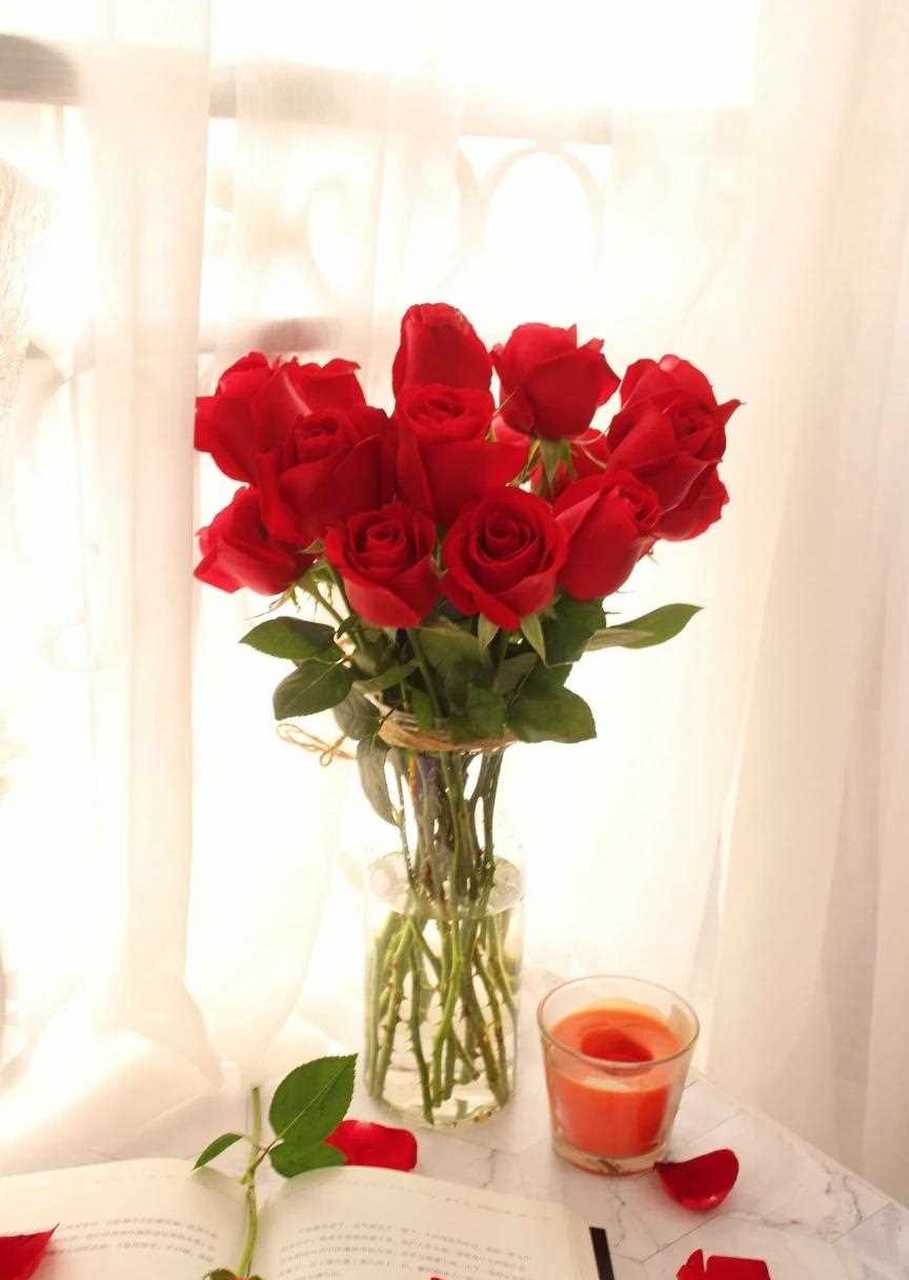 好看的鲜花(好看的鲜花壁纸图片)