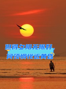 但得夕阳无限好,何须惆怅近黄昏