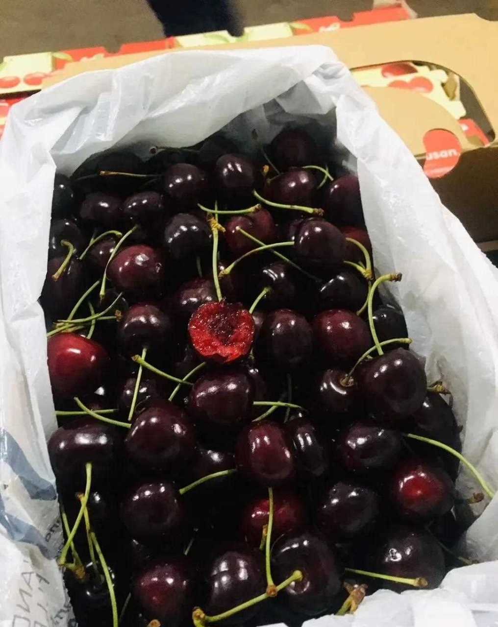 来自乌克兰的3个大樱桃品种主要有早红宝石,早大果和抉择.