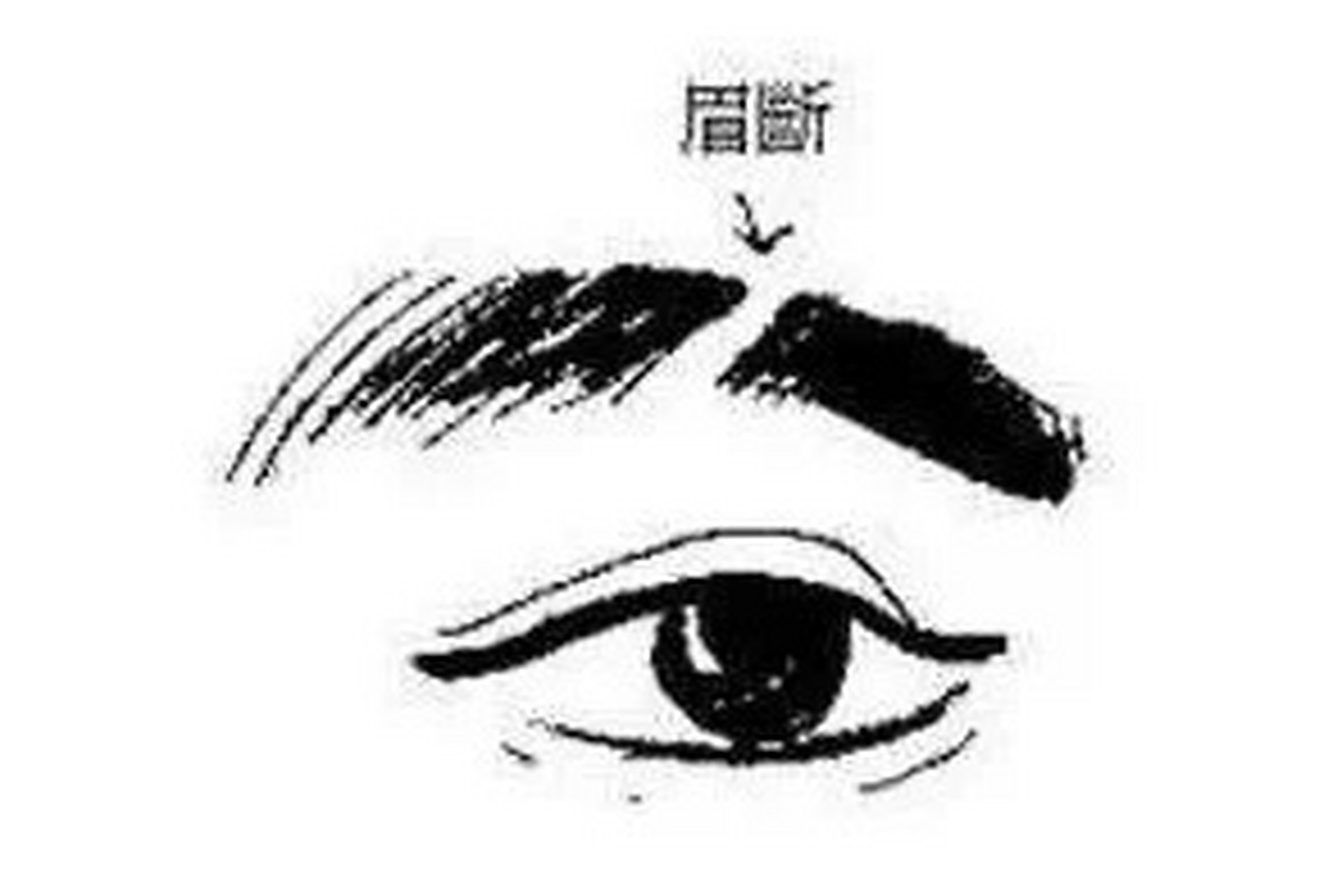眉毛断开,浅淡:    在面相学的五官中,眉是"保寿宫".