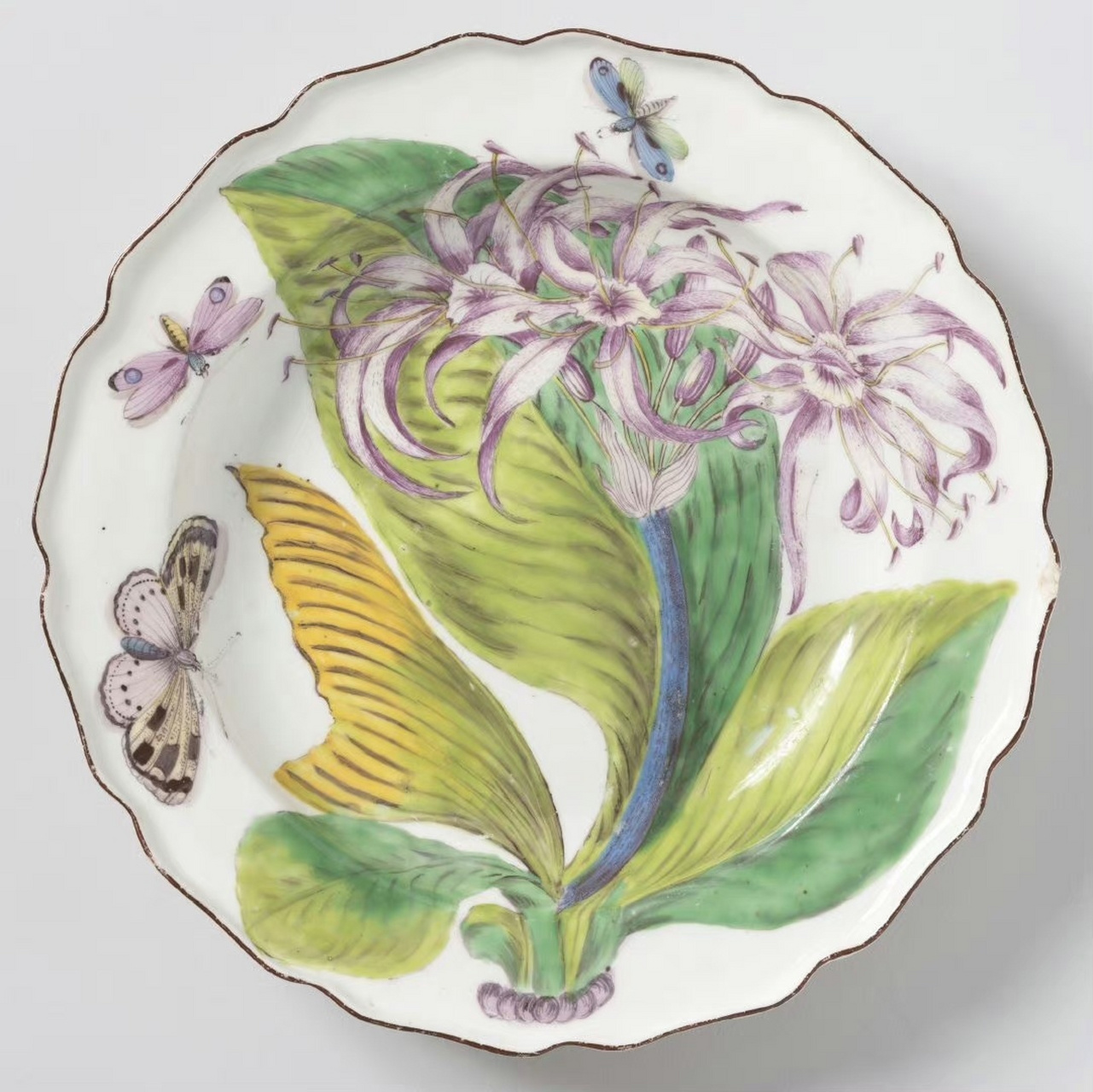 英国切尔西瓷窑出品的釉上彩软瓷装饰碟,以18世纪最为流行的植物图谱