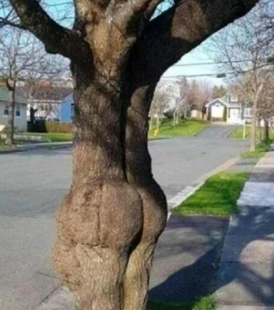 说实话,第一眼是不是想歪了